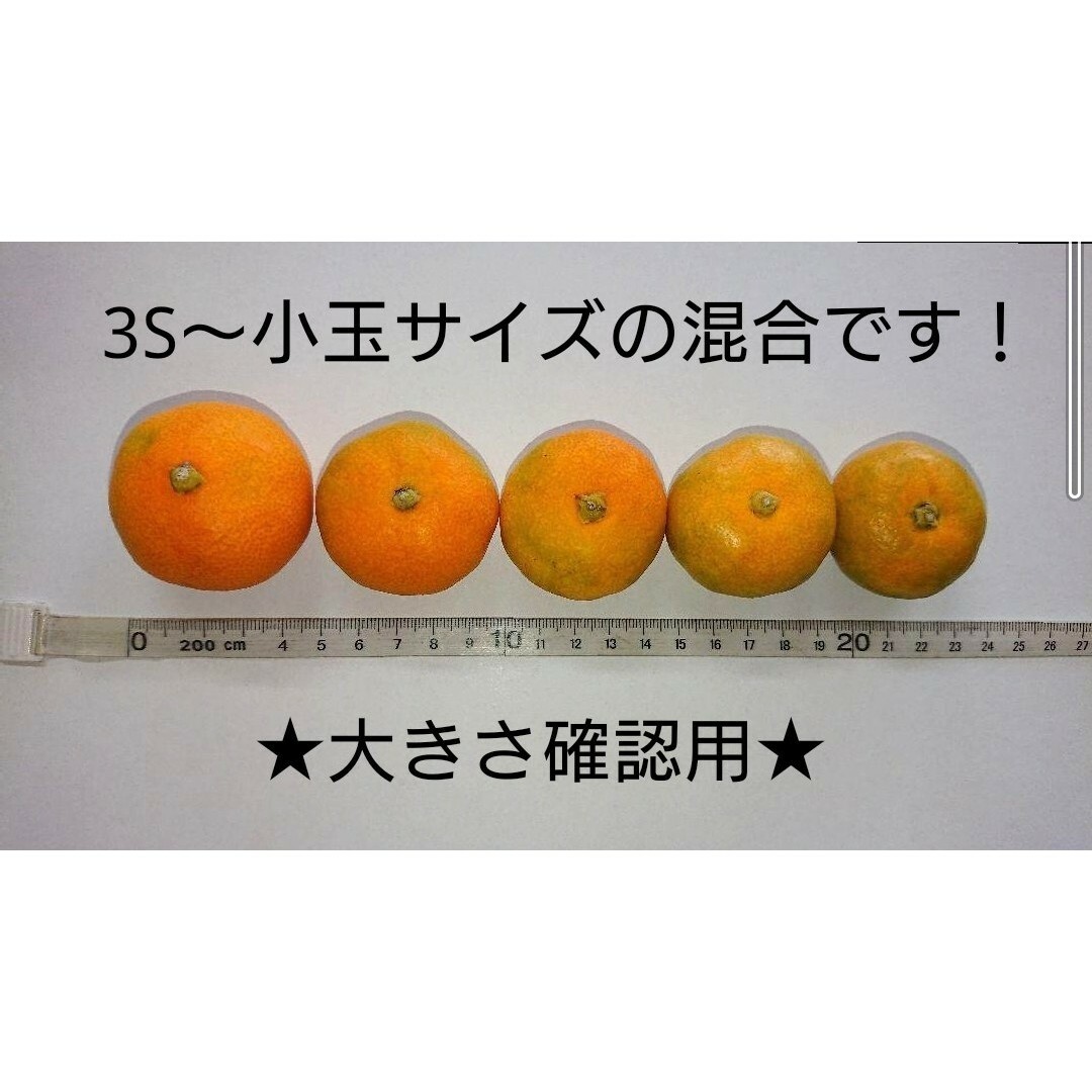 山北温室みかん 興津早生 [緑] 3S～小玉 1㎏ 高知県産 宅配便コンパクト 食品/飲料/酒の食品(フルーツ)の商品写真