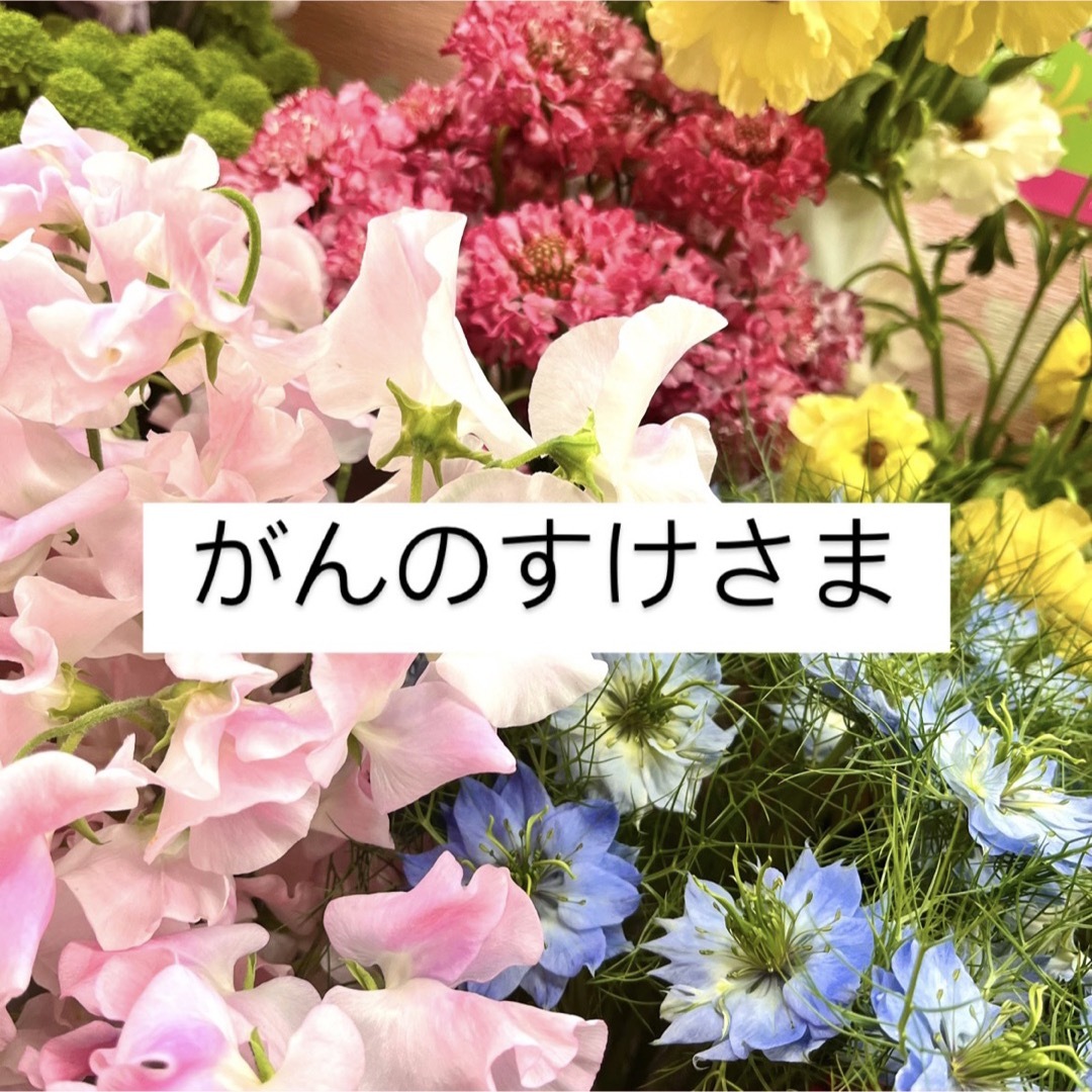 オンライン売り出し 〜そのまま飾れる〜多肉植物寄せ植え(樹脂粘土