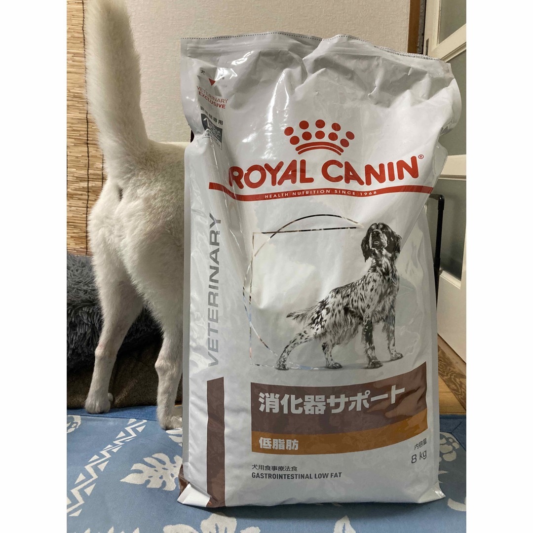 セール本物 ロイヤルカナン 消化器サポート 低脂肪 犬用 8kg ペット