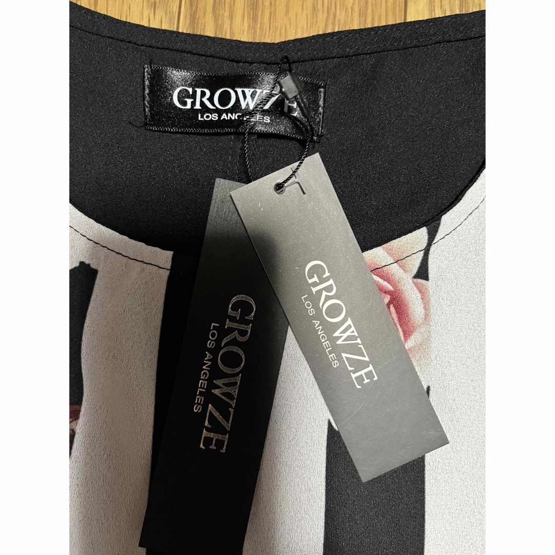 GROWZE(グローゼ)の新品　GROWZE／グローゼ  花柄ストライプ　ブラウス　カットソー レディースのトップス(カットソー(半袖/袖なし))の商品写真