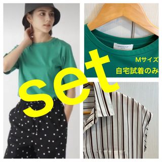 オペークドットクリップ(OPAQUE.CLIP)の【試着のみ】アイスタッチ　シルキーコットン　Tシャツ　接触冷感　まとめ売り(Tシャツ(半袖/袖なし))