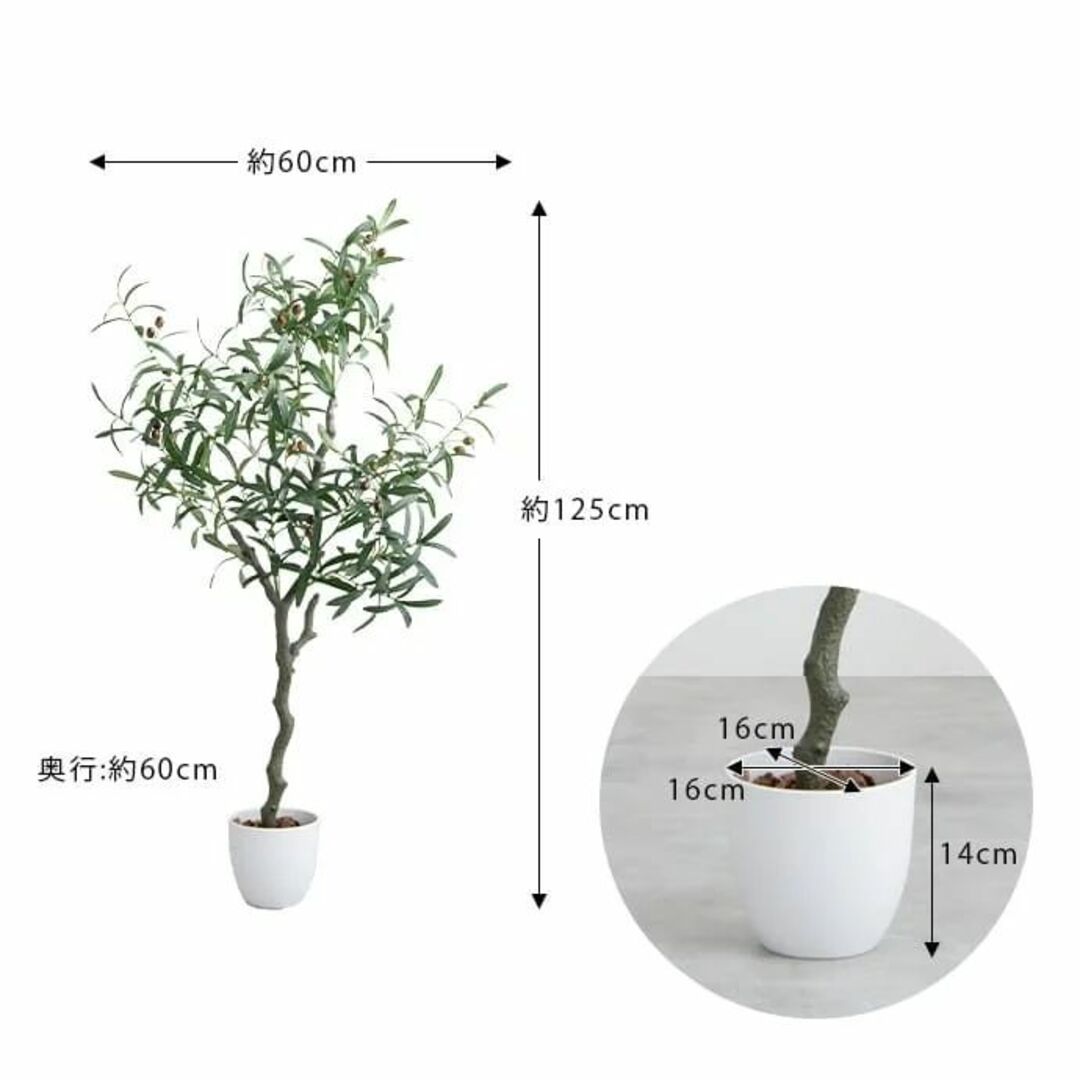 【光触媒/抗菌防臭】人工観葉植物 オリーブ 高さ125cm 5