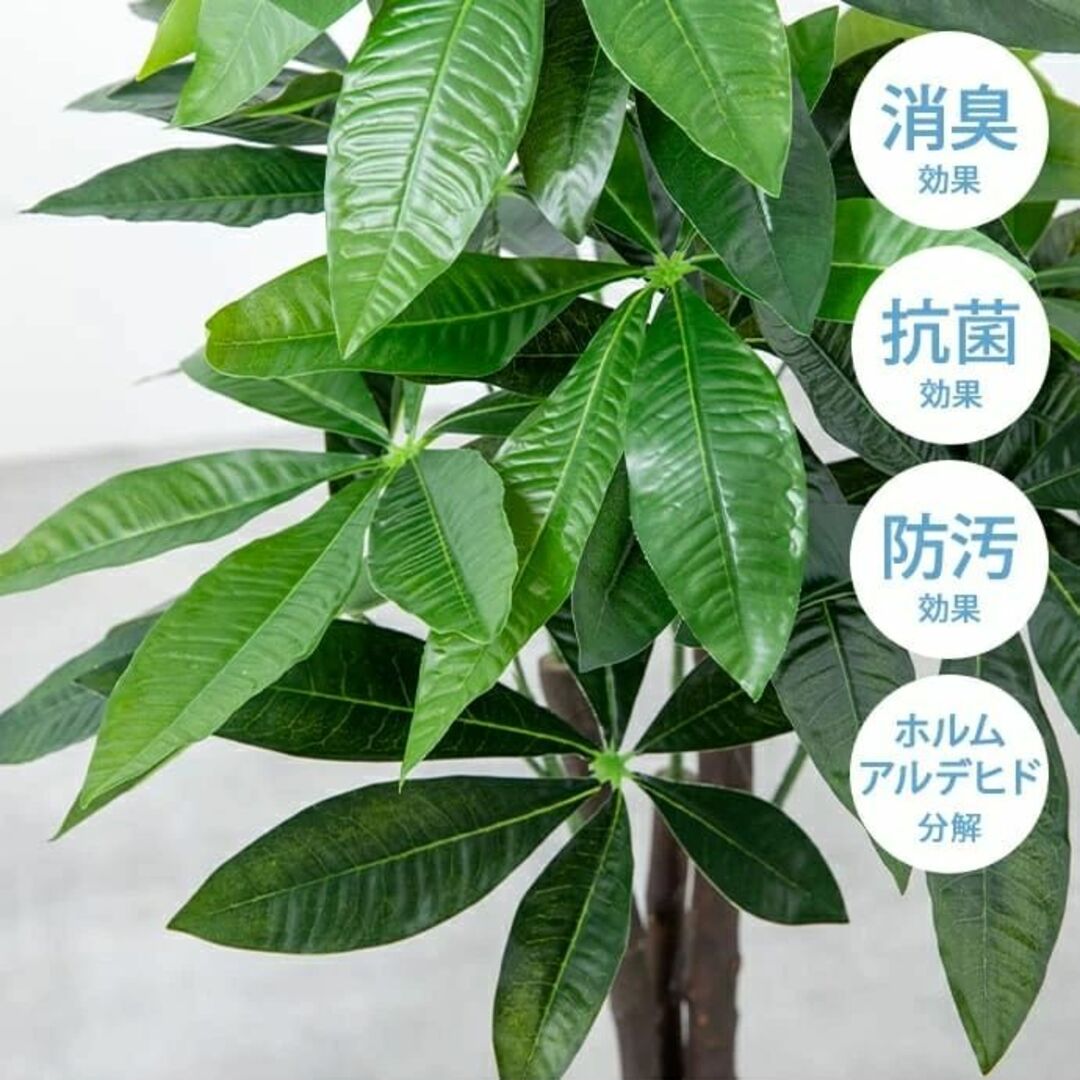 【光触媒/抗菌防臭】人工観葉植物 オリーブ 高さ125cm 6