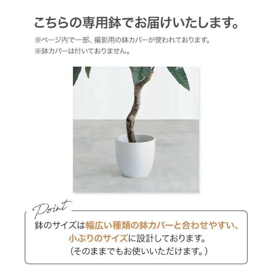 【光触媒/抗菌防臭】人工観葉植物 オリーブ 高さ125cm 7