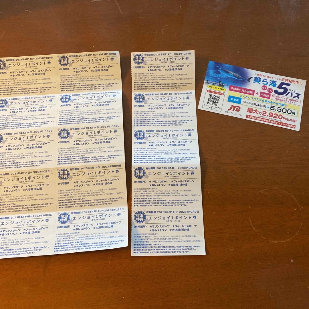 リザンシーパークホテル谷茶ベイ　エンジョイポイント チケットの施設利用券(その他)の商品写真