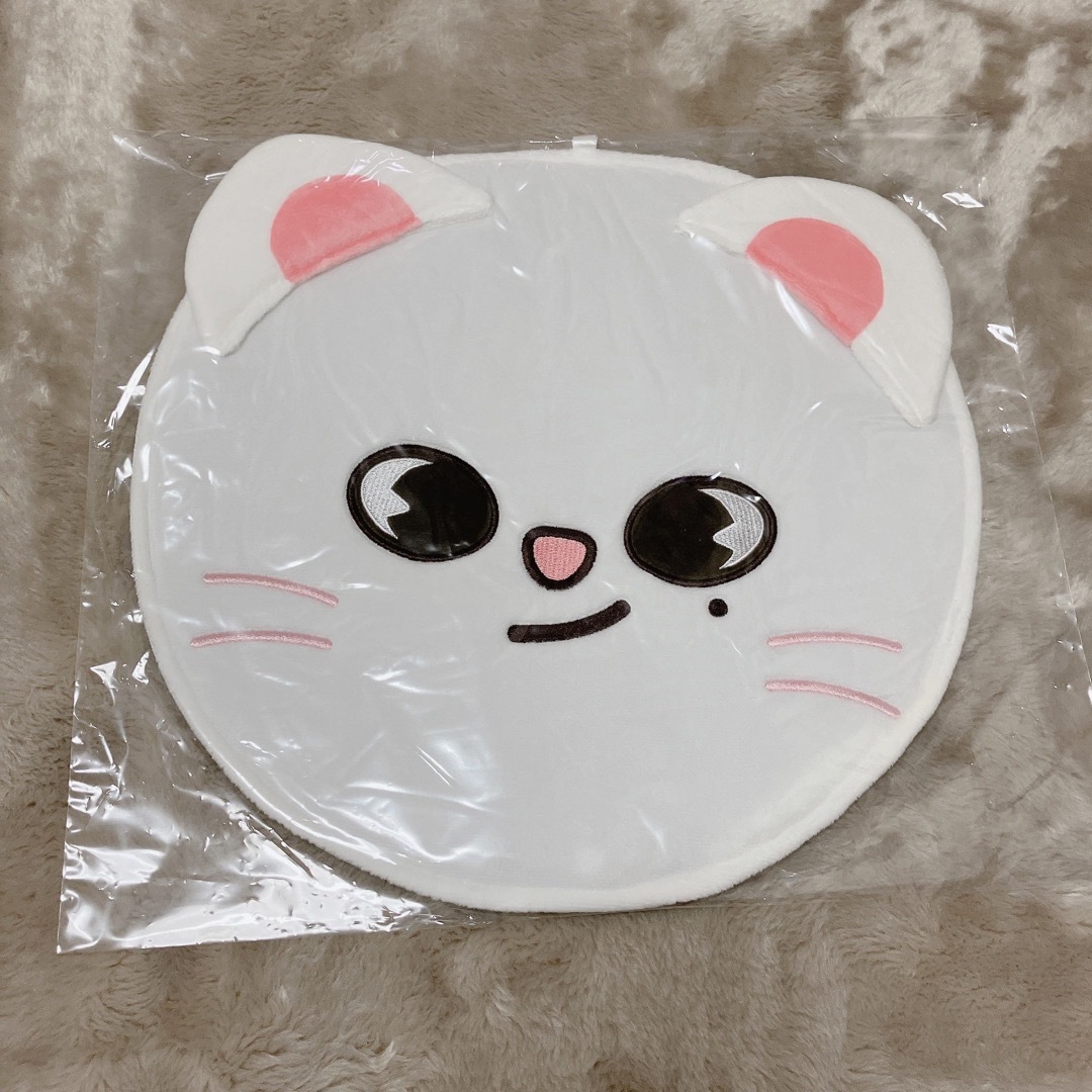 straykids スキズ ヒョンジン うちわケース