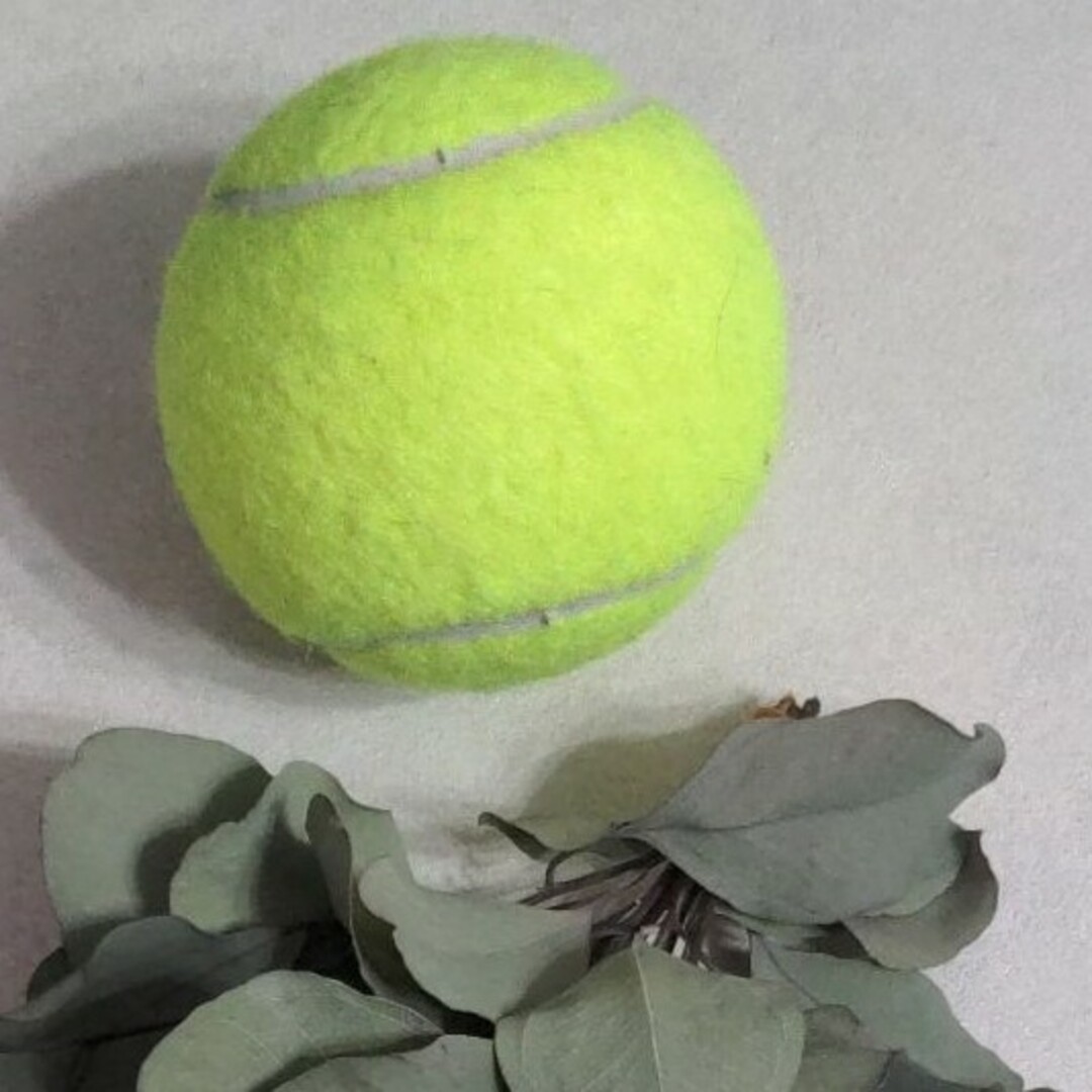 テニスボール1個  ユーカリの葉