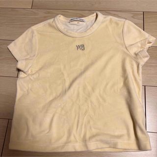 AlexanderWang ベロアTシャツ