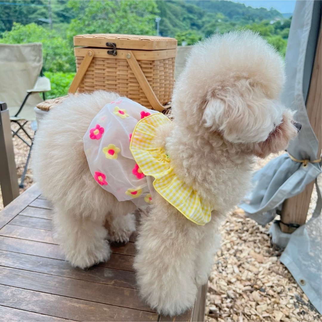 犬服　ペット服　ドッグウェア　可愛い　オシャレ　犬用品　トップス  その他のペット用品(犬)の商品写真