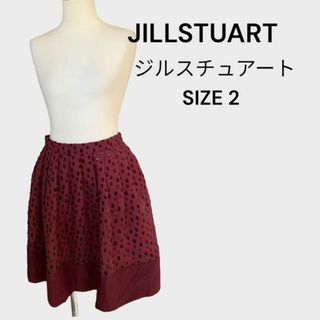 ジルスチュアート(JILLSTUART)のジルスチュアート　JILLSTUART ボルドー　フレアスカート ドット(ひざ丈スカート)