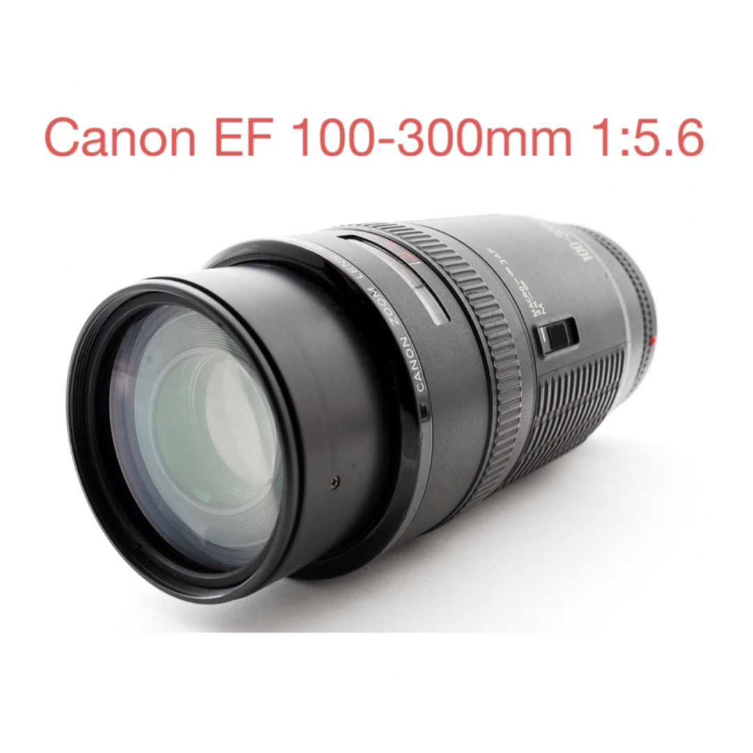 望遠レンズ キャノン  Canon EF 100-300mm 1:5.6