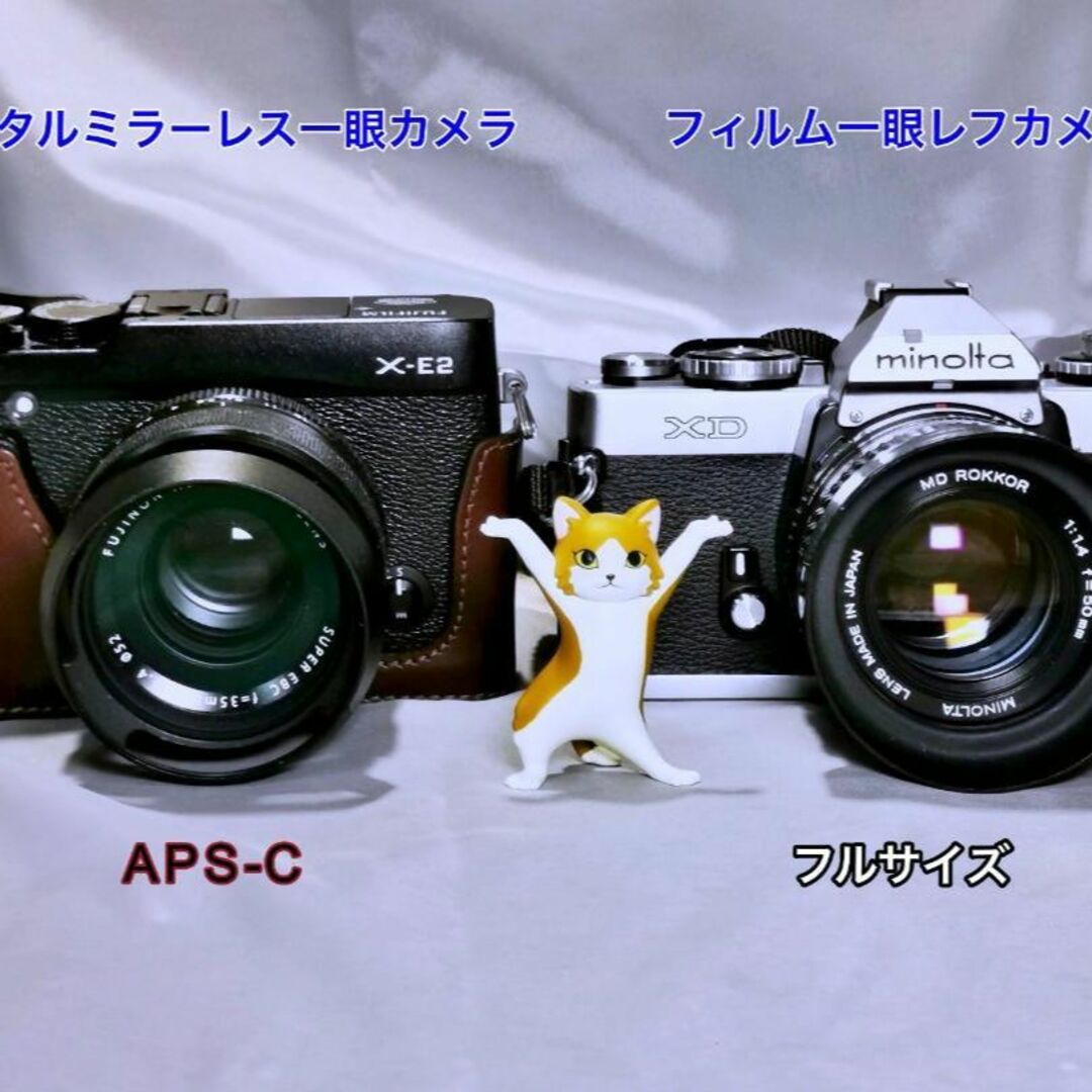 KONICA MINOLTA(コニカミノルタ)の銘機 minolta XD XD-s X-700 MD ROKKOR 各種 スマホ/家電/カメラのカメラ(レンズ(単焦点))の商品写真