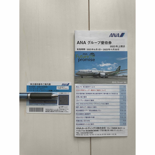 ANA株主優待券　グループ優待券セット　全日空(その他)