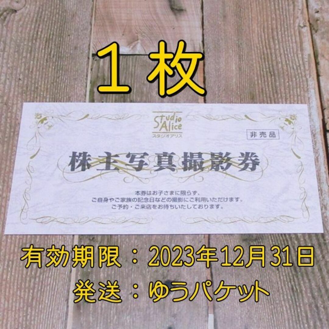 スタジオアリス 株主優待券 １枚 2023年12月31日まで 株主写真撮影券 ...