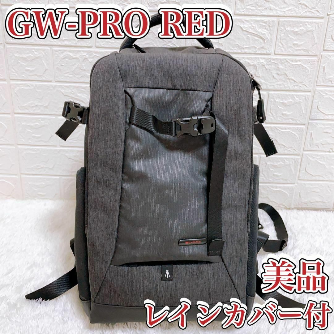 HAKUBA - 【超美品】GW-PRO RED リアゲート バックパック 02 M