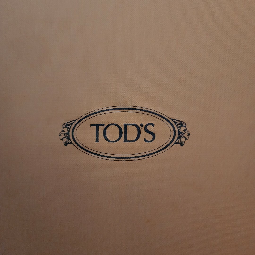 TOD'S　モカシン　メンズ