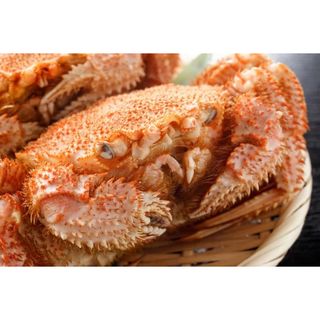 三陸産　（硬）毛蟹　1kg  （3〜5杯入り　）　無線別　(魚介)