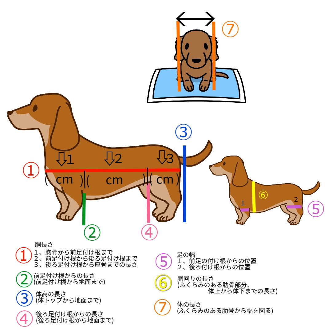 価格買取 犬 歩行器 小型犬から中型犬 オーダーメイド 介護 車椅子 犬