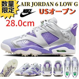 ナイキ(NIKE)の即納 28.0cm NIKE エアジョーダン6 LOW G メタリックパープル(シューズ)