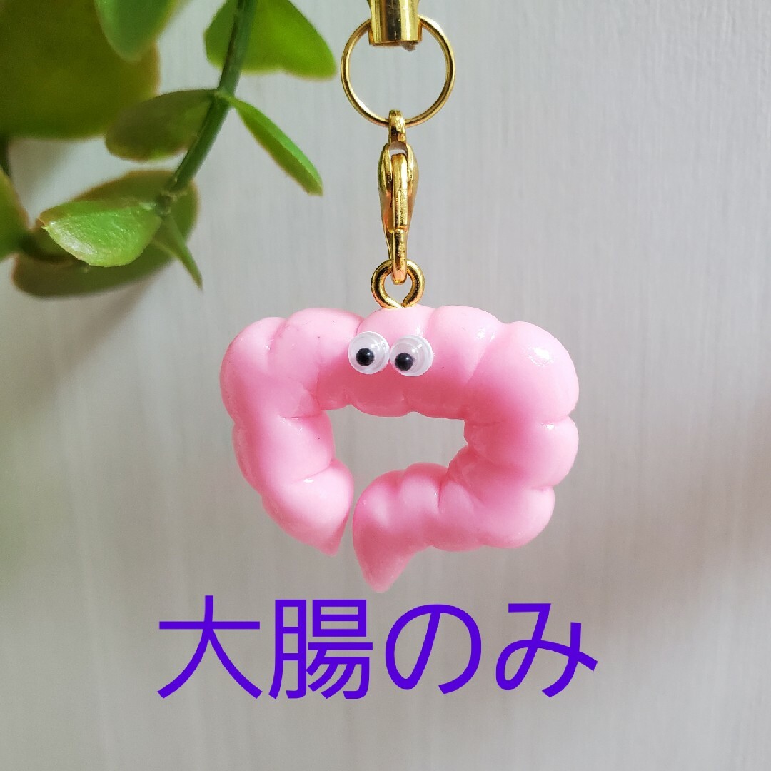 大腸　臓器　キーホルダー　ストラップ　チャーム　グッズ　ハンドメイド　看護　医療