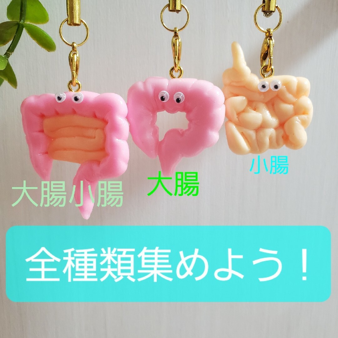 日本全国送料無料商品 特集 小腸 臓器 キーホルダー ストラップ チャーム グッズ キーホルダー