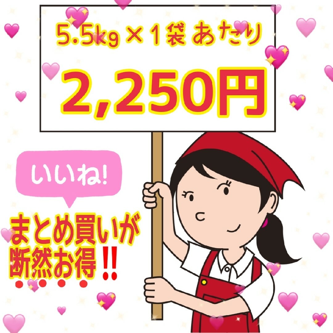 ★生活応援10%(2kg)増量★あきたこまちブレンド白米合計(22kg)送料込み 1