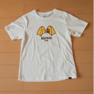 マーモット(MARMOT)のMarmot✨Tシャツ(登山用品)