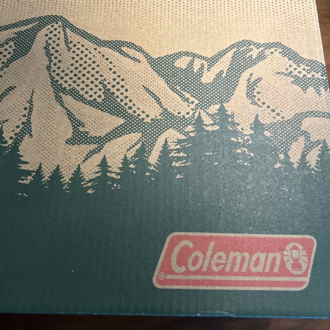 Coleman(コールマン)のコールマン　Coleman  スニーカーサンダル　27.5 ㎝新品 メンズの靴/シューズ(スニーカー)の商品写真