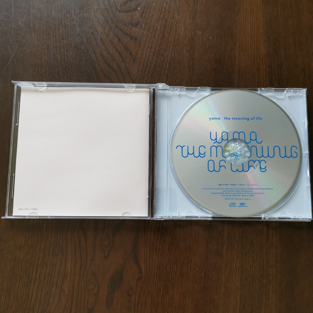 the meaning of life エンタメ/ホビーのCD(ポップス/ロック(邦楽))の商品写真