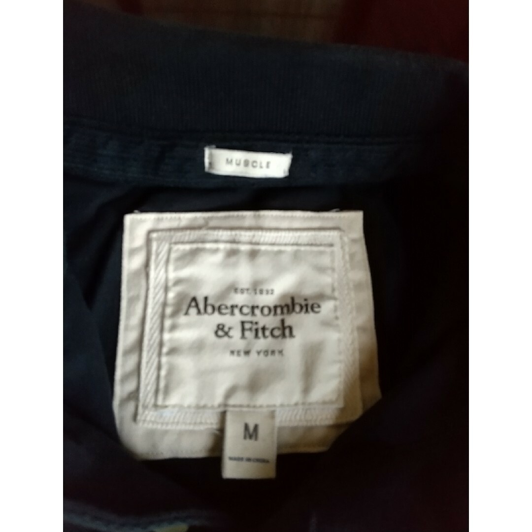 Abercrombie&Fitch(アバクロンビーアンドフィッチ)のAbercrombie&Fitch　ポロシャツ 1892 New York メンズのトップス(ポロシャツ)の商品写真