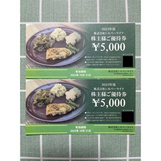 シルバーライフ株主優待券10,000円分(5,000円×2枚)(ショッピング)