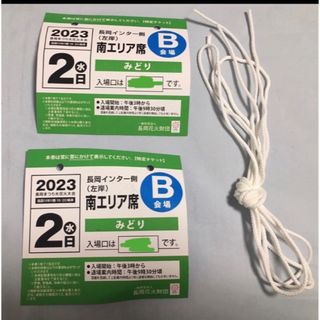 長岡花火 チケット 2023 8/2(水) 2枚 南エリア みどり席(その他)