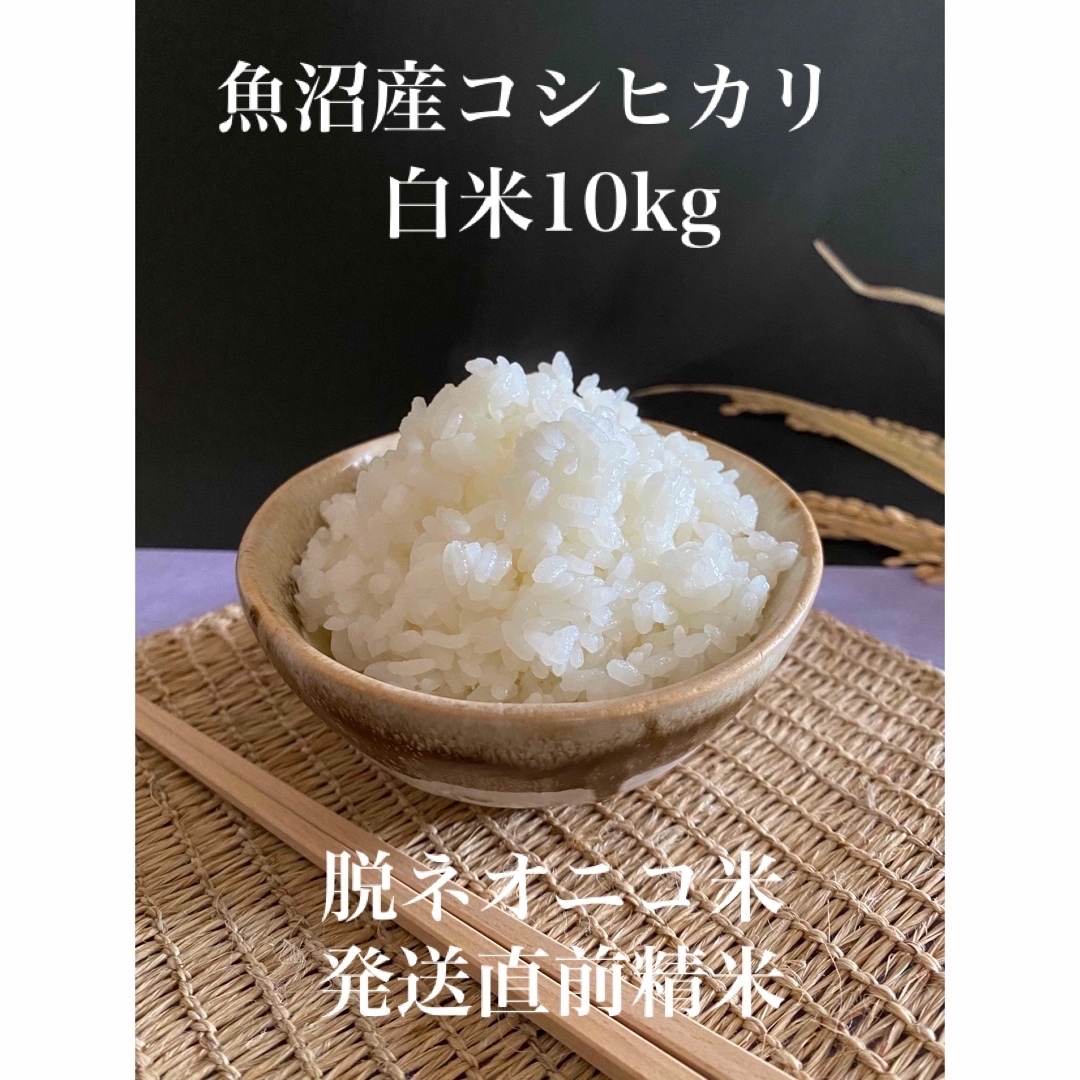 令和4年度産　発芽試験済み　白米10kgの通販　脱ネオニコ米　魚沼産コシヒカリ　shop｜ラクマ　by　samu's