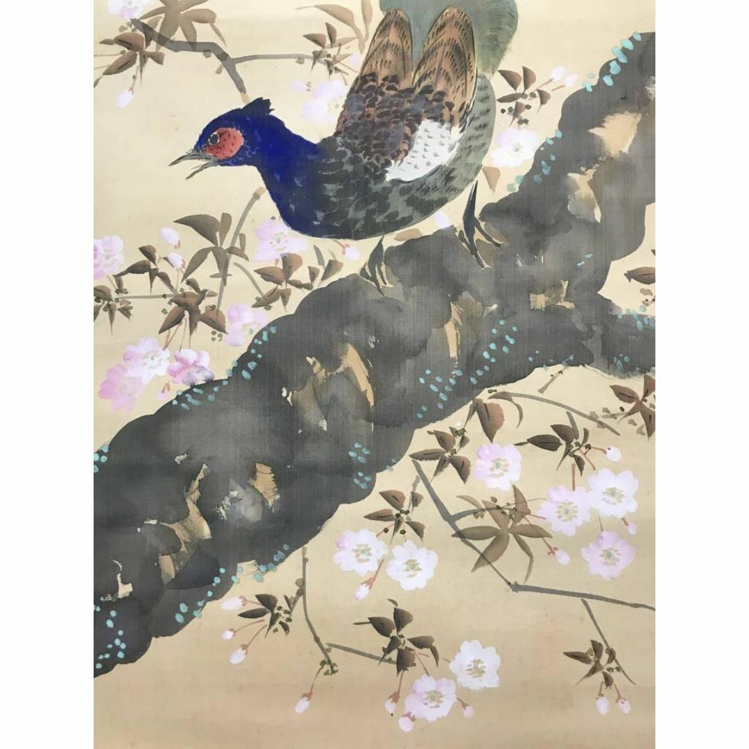 作者不詳/山桜に雉図/キジ図/掛軸☆宝船☆AC-154の通販 by 掛軸 作者不詳/山桜に雉図/キジ図/掛軸☆宝船☆AC-154の通販 by 掛軸