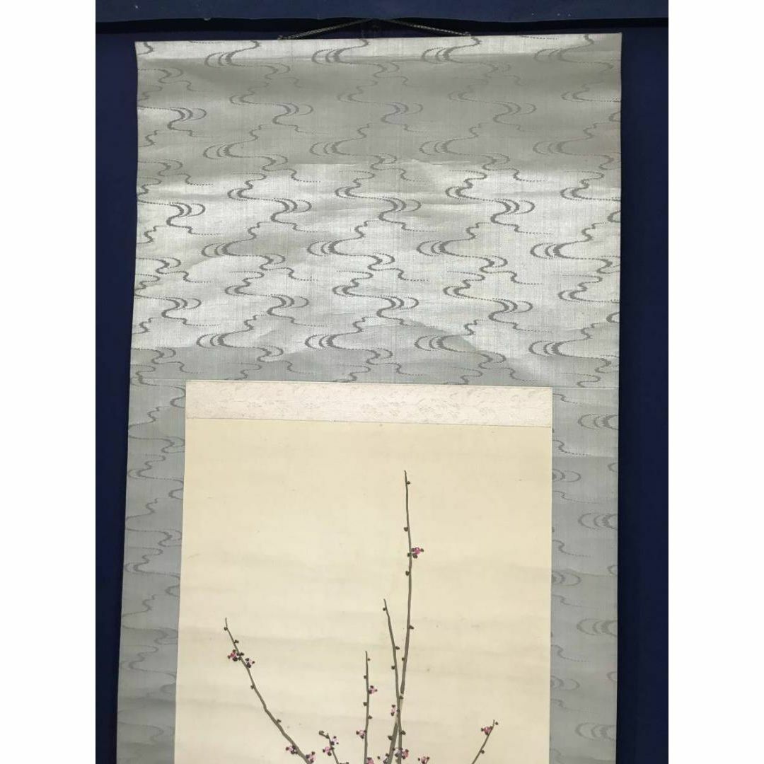 作者不詳/紅梅雀図/掛軸☆宝船☆AC-54の通販 by 掛軸✩宝船✩'s 作者不詳/紅梅雀図/掛軸☆宝船☆AC-54の通販 by 掛軸✩宝船✩'s