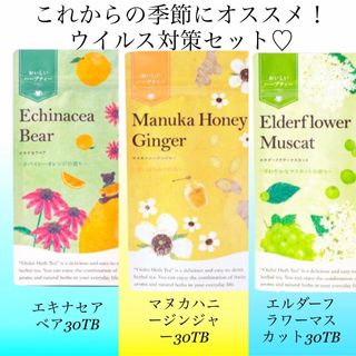 セイカツノキ(生活の木)の生活の木　おいしいハーブティー30袋入り×3種セット　お茶　ノンカフェイン(茶)