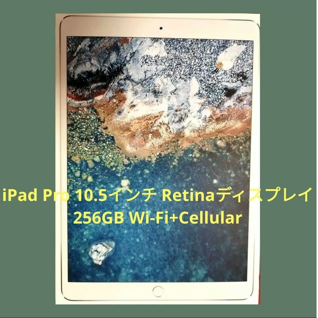 iPad Pro 10.5インチ Retinaディスプレイ 256GB Wi-F | フリマアプリ ラクマ