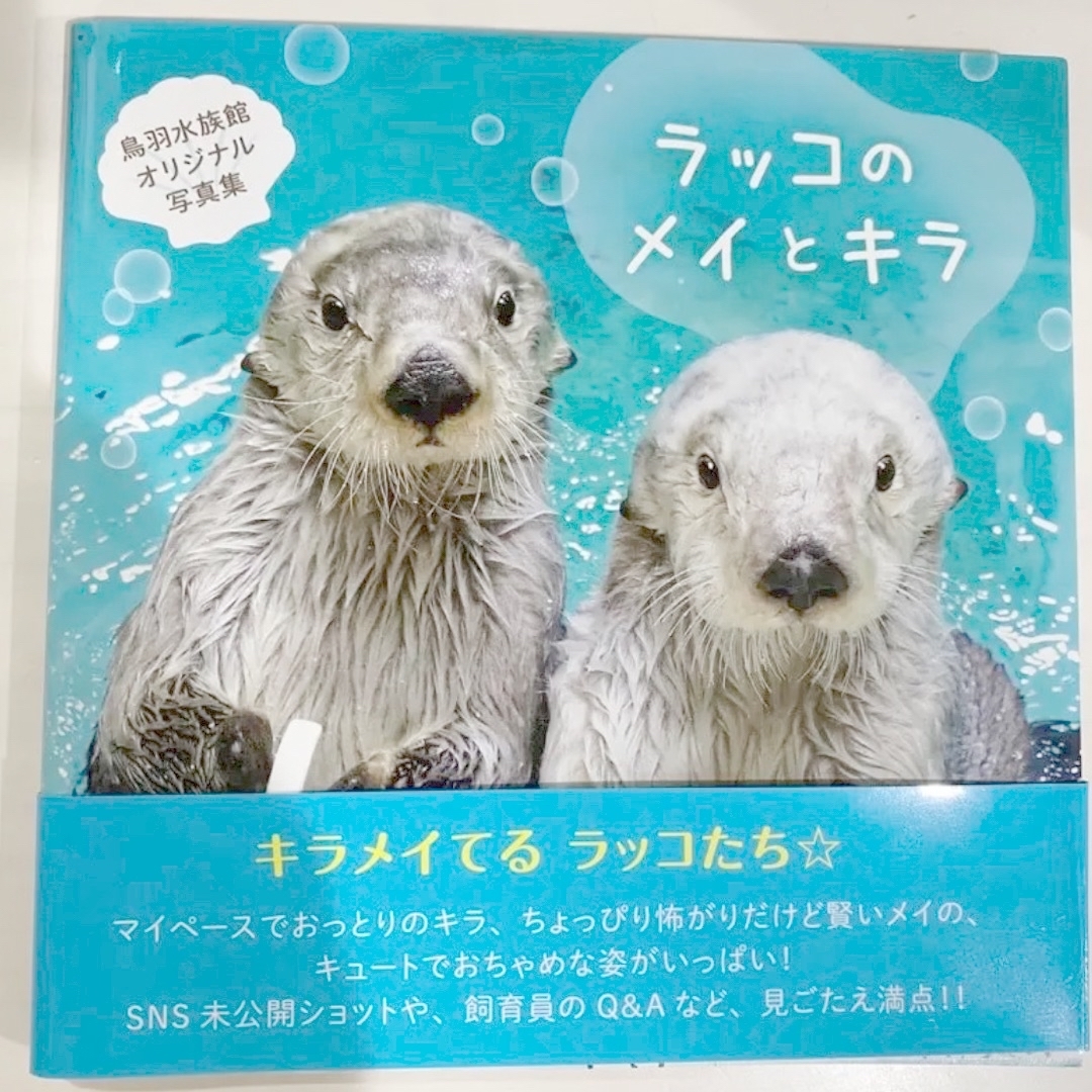 ラッコ キラとメイ 写真集 鳥羽水族館の通販 by Momo's shop｜ラクマ