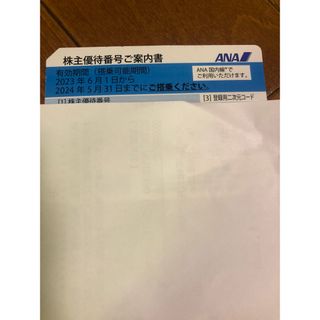 エーエヌエー(ゼンニッポンクウユ)(ANA(全日本空輸))のANA株主優待券　1枚　2023年６月１日から2024年５月３１日まで(航空券)