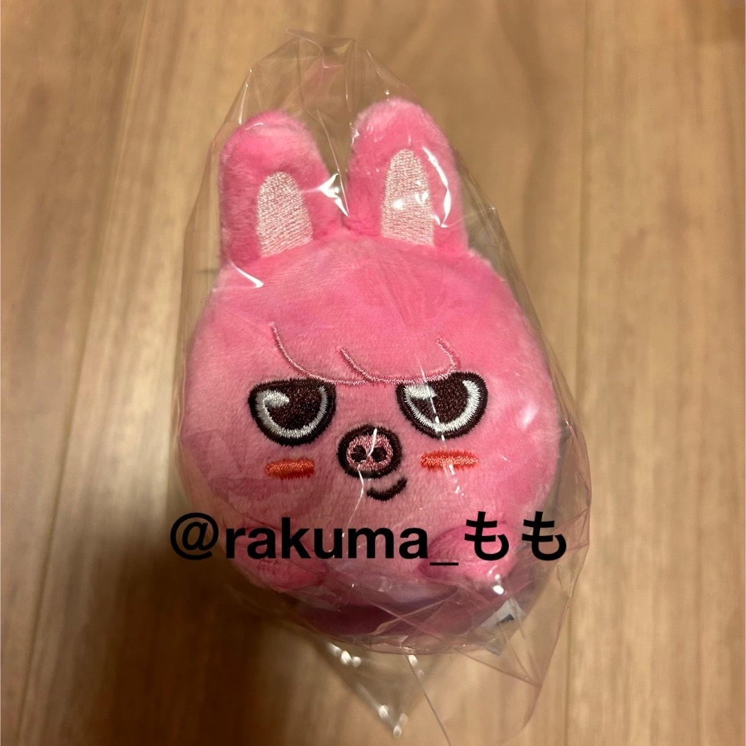 Stray Kids スキズ SKZOO MINI PLUSH チャンビン