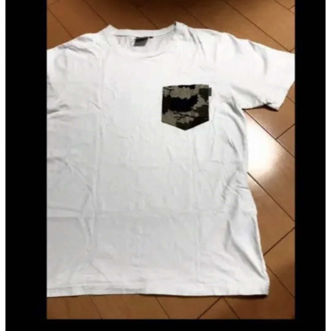 carhartt(カーハート)のカーハートホワイト✖︎ボタニカルポケT メンズのトップス(Tシャツ/カットソー(半袖/袖なし))の商品写真