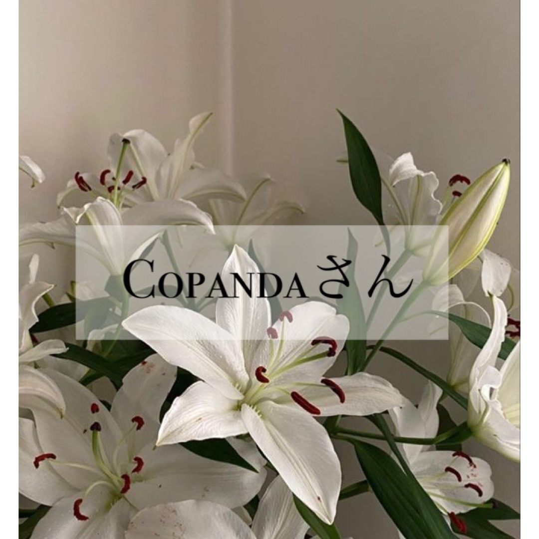 Copandaさん