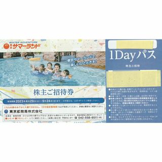 東京都競馬 株主優待券 東京サマーランド 1Dayパス 4枚セット ☆送料