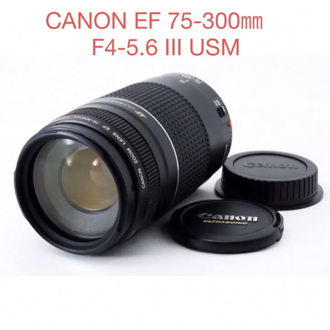 大人気❤️軽量・高機能・大迫力超望遠レンズ❤️Canon EF 75-300mm 大人気❤️軽量・高機能・大迫力超望遠レンズ❤️Canon EF 75-300mm
