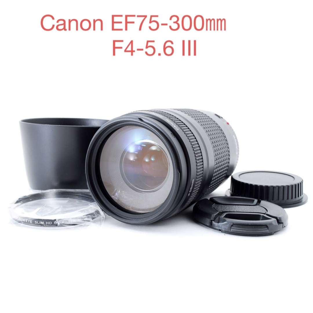 迫力の300㎜ Canon キヤノン 望遠レンズ EF75-300mm - レンズ(ズーム) 迫力の300㎜ Canon キヤノン 望遠レンズ EF75-300mm - レンズ(ズーム)