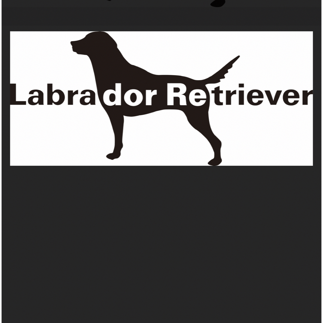 Labrador Retriever(ラブラドールリトリーバー)のLABRADORRETRIEVERマウンテンナイロンパーカーネイビーlarge  メンズのジャケット/アウター(マウンテンパーカー)の商品写真