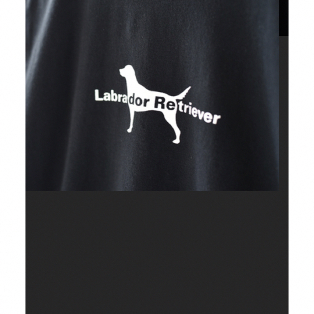 Labrador Retriever(ラブラドールリトリーバー)のLABRADORRETRIEVERマウンテンナイロンパーカーネイビーlarge  メンズのジャケット/アウター(マウンテンパーカー)の商品写真