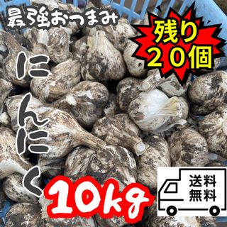 【青森県産】にんにく福地ホワイト六片　白玉王　※限定20個(野菜)