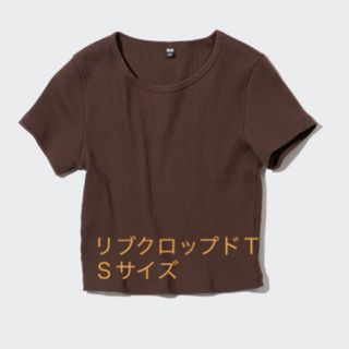 ユニクロ(UNIQLO)のリブクロップドＴシャツ　Sサイズ　ブラウン(Tシャツ(半袖/袖なし))