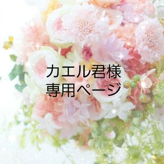 プリザーブドフラワーが高値で売れる!買取よりお得にプリザーブド